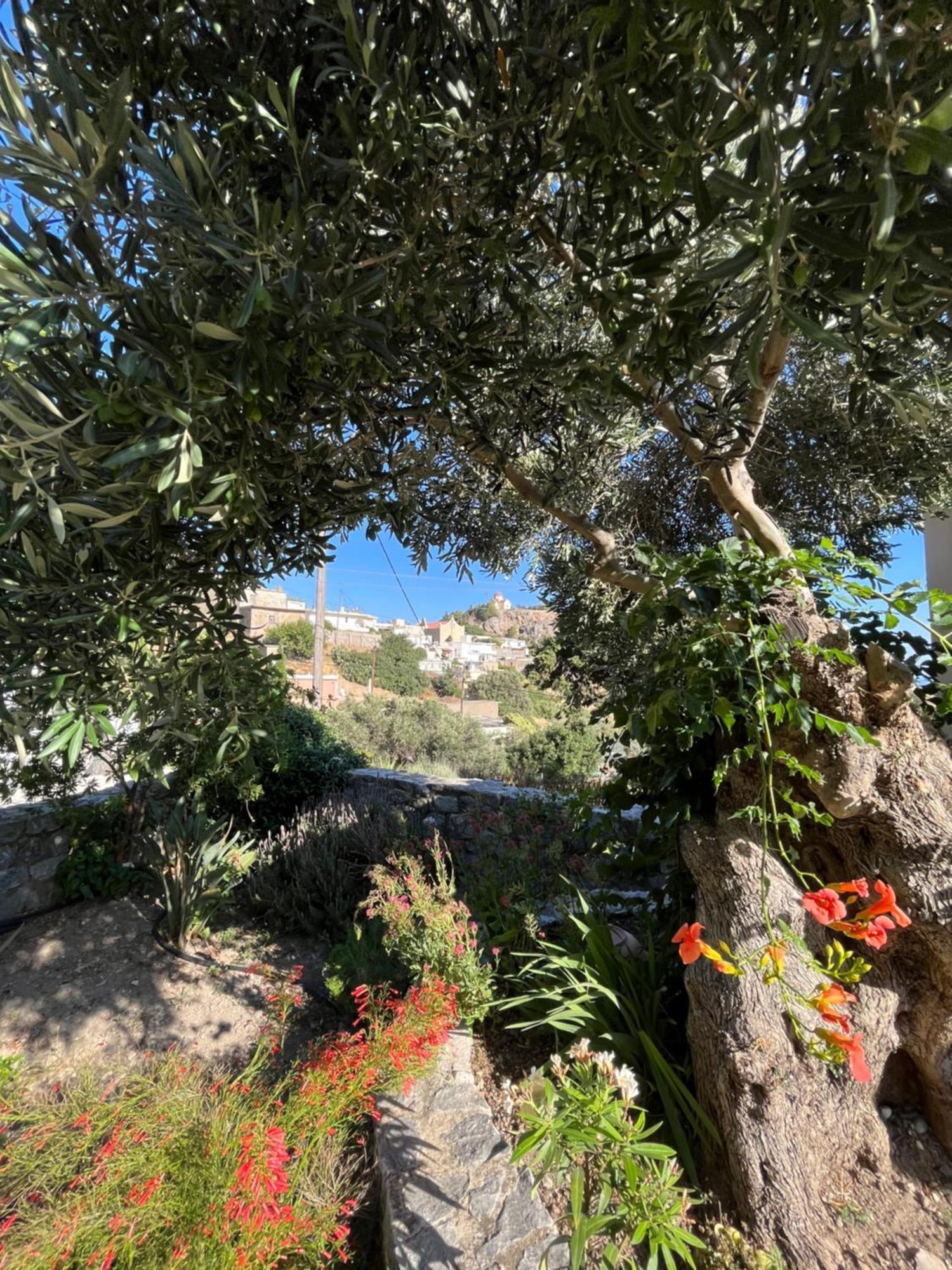 فيلا Petasos House - Garden - Sea View Sellía المظهر الخارجي الصورة