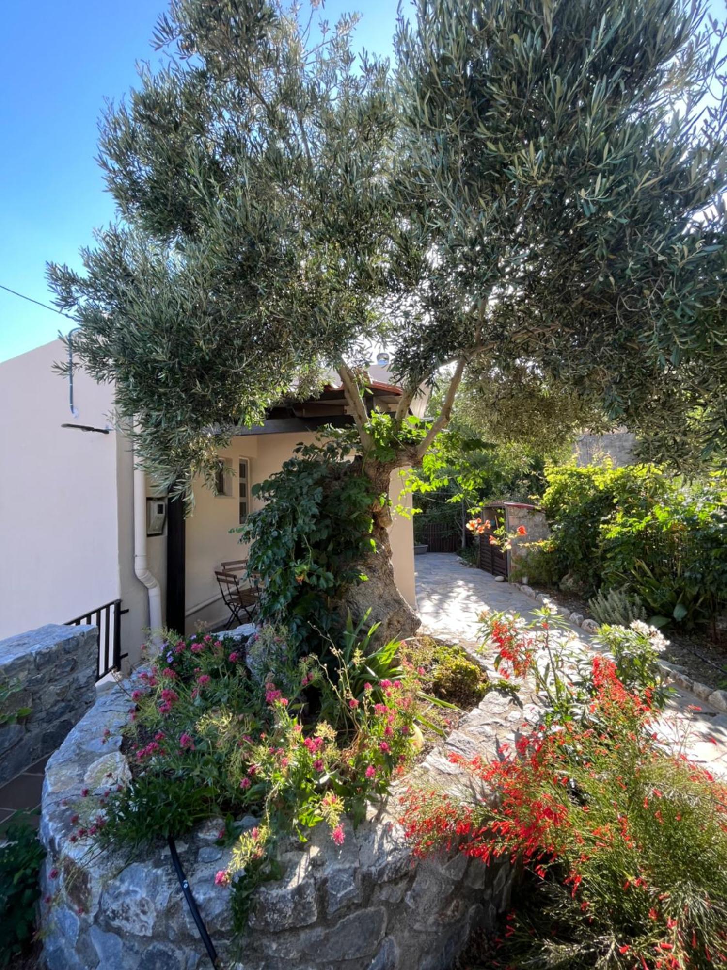 فيلا Petasos House - Garden - Sea View Sellía المظهر الخارجي الصورة